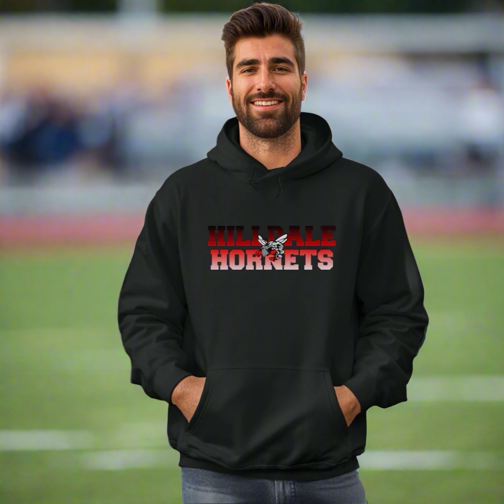 HILLDALE HORNETS GRADIENT