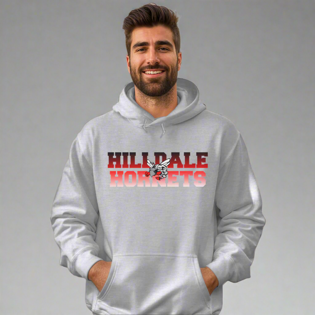 HILLDALE HORNETS GRADIENT